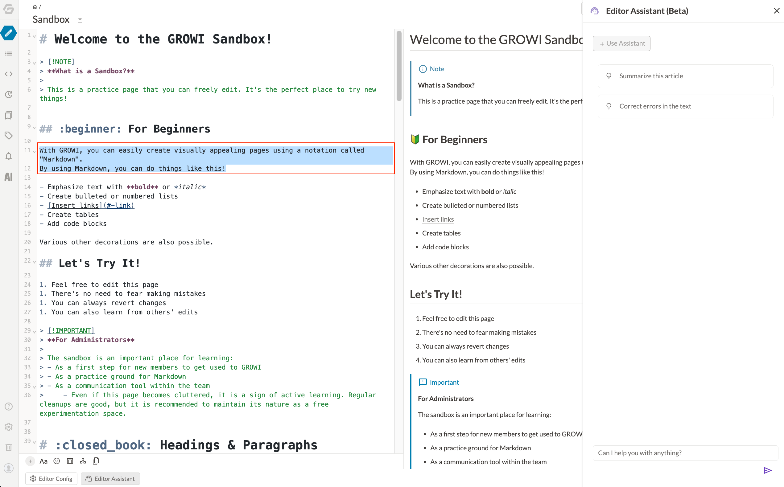 Selected text highlighted in the editor